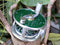 Fly Reel ZYZ-035